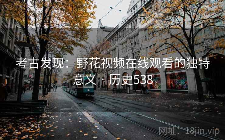 考古发现:野花视频在线观看的独特意义 · 历史538 第2张 考古发现:野花视频在线观看的独特意义 · 历史538 第2张